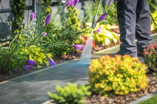 Best Patio and Deck Pressure Washing  in Tenaha, TX